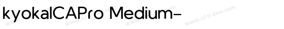 kyokaICAPro Medium字体转换